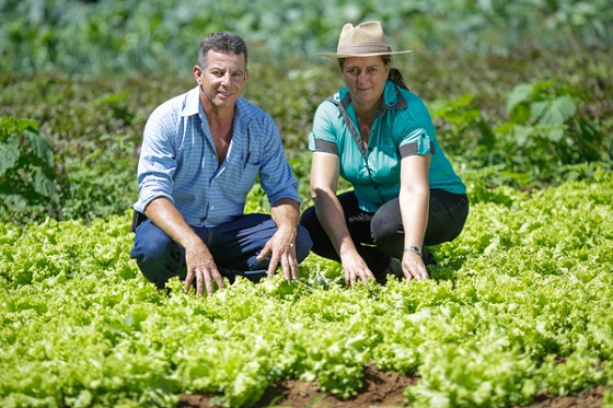 Márcio e Maria José Martins