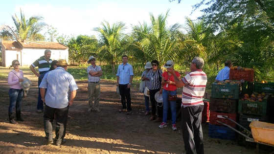 Grupo visitou quatro projetos de irrigação da Codevasf