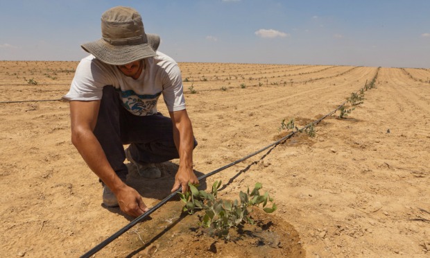 Irrigação_Israel